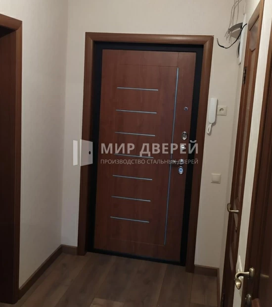 Фото двери № 431